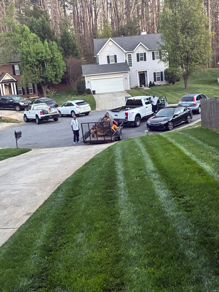 Neighborhood yard — sharp finish