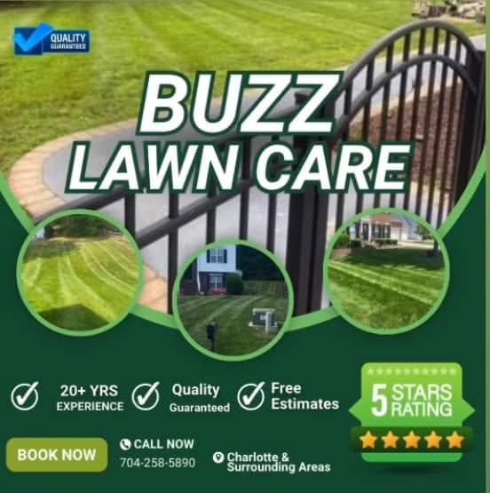 Buzz Lawn Services Care — Charlotte, NC