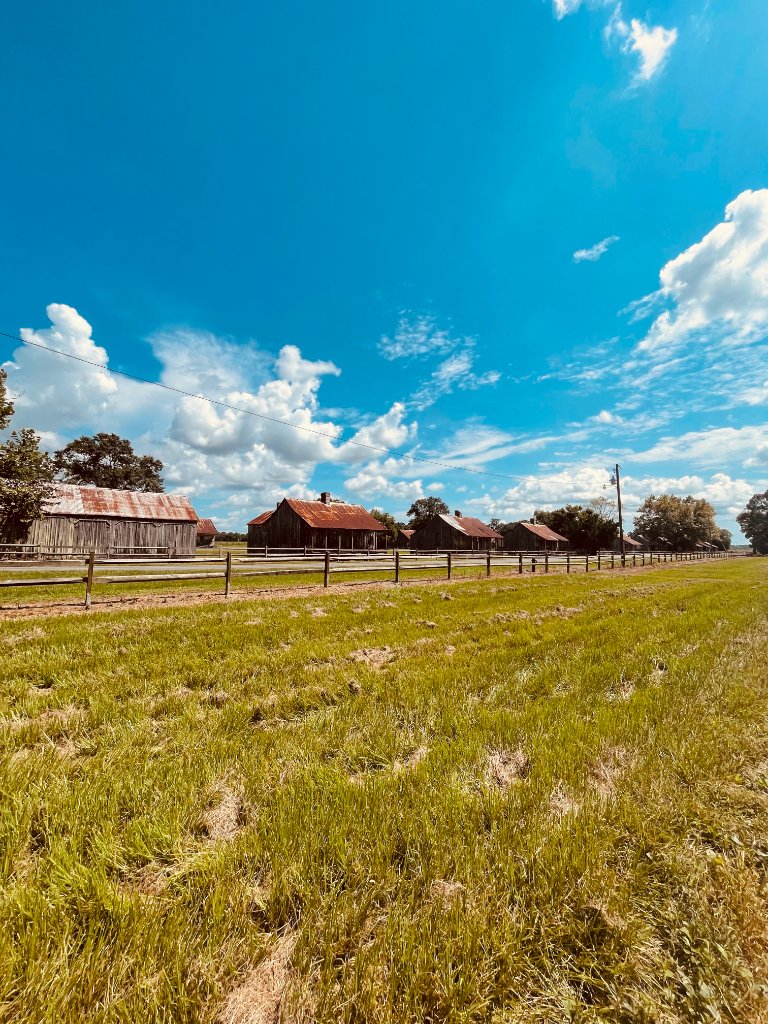 Weathered wooden barns with rusted tin roofs line a split-rail fence across a green Louisiana field under a wide blue sky