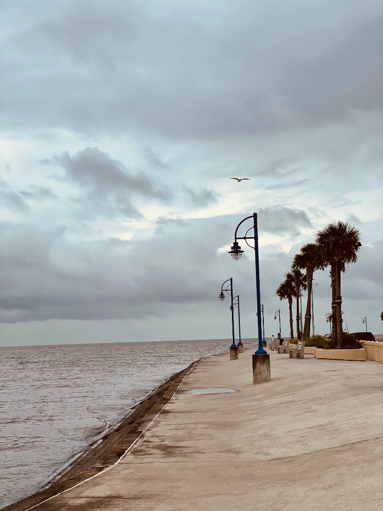 A waterfront walkway with vintage lamp posts and palm trees along calm water, plane flying overhead, dramatic cloudy sky