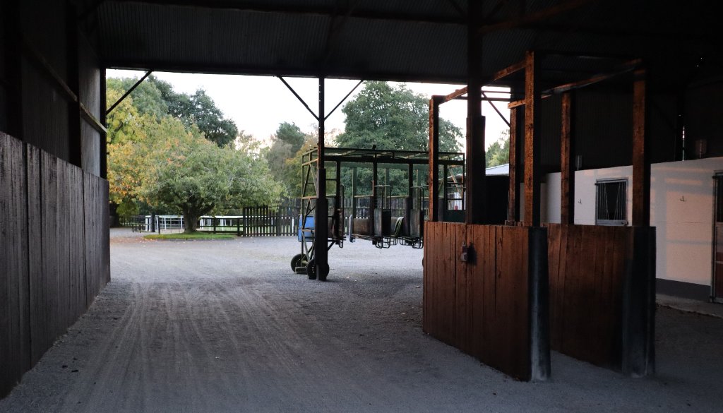 O'Donoghue Racing — around the yard at Currabeg Stables, The Curragh (6)