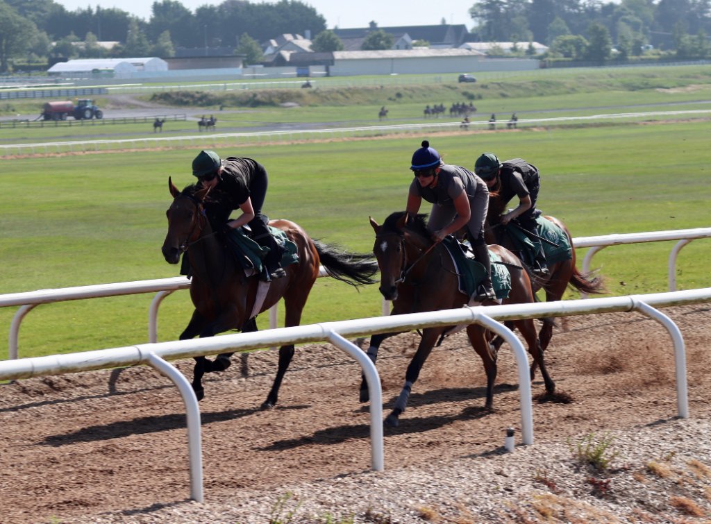O'Donoghue Racing — from the gallops at Currabeg Stables, The Curragh (3)