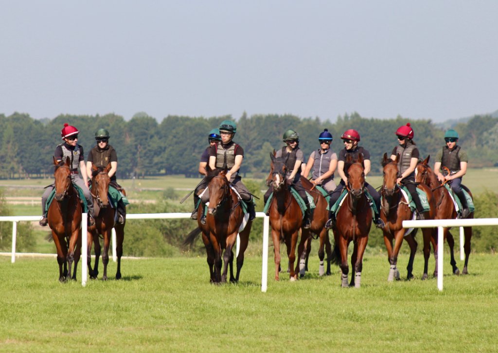 O'Donoghue Racing — from the gallops at Currabeg Stables, The Curragh (5)