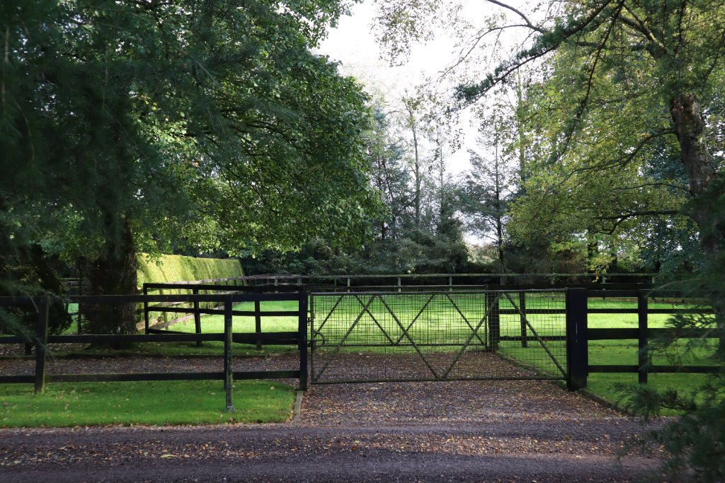 O'Donoghue Racing — around the yard at Currabeg Stables, The Curragh (3)