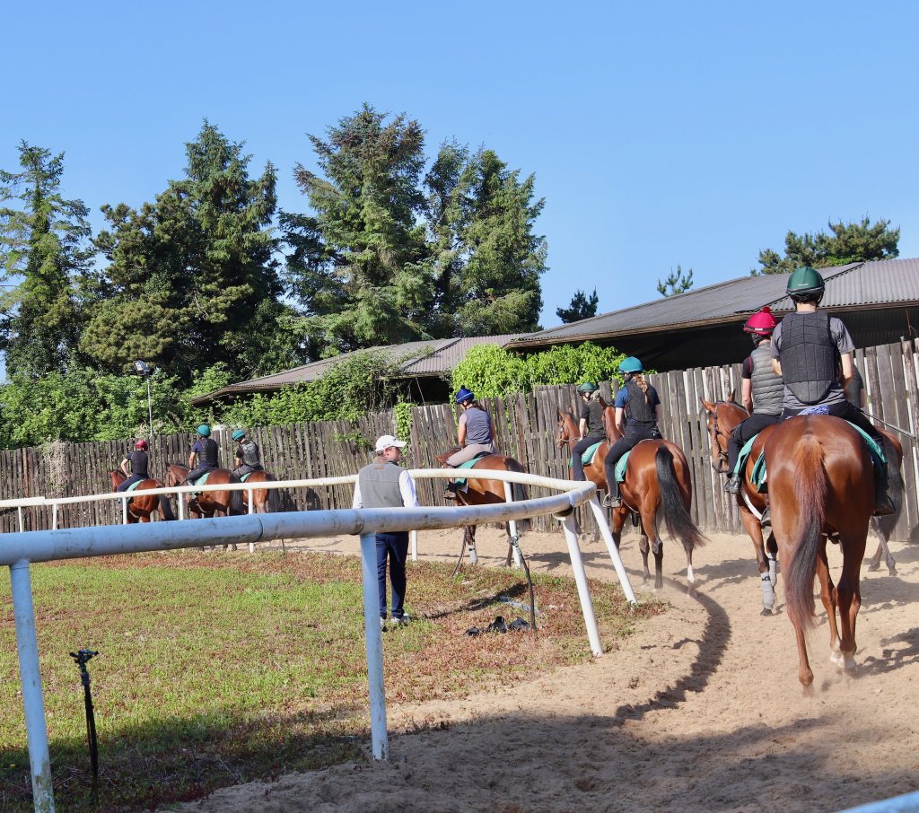 O'Donoghue Racing — from the gallops at Currabeg Stables, The Curragh (1)