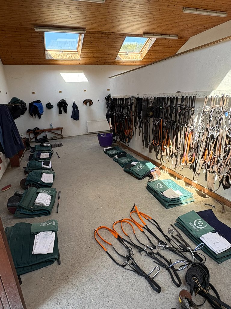 O'Donoghue Racing — raceday at Currabeg Stables, The Curragh (8)