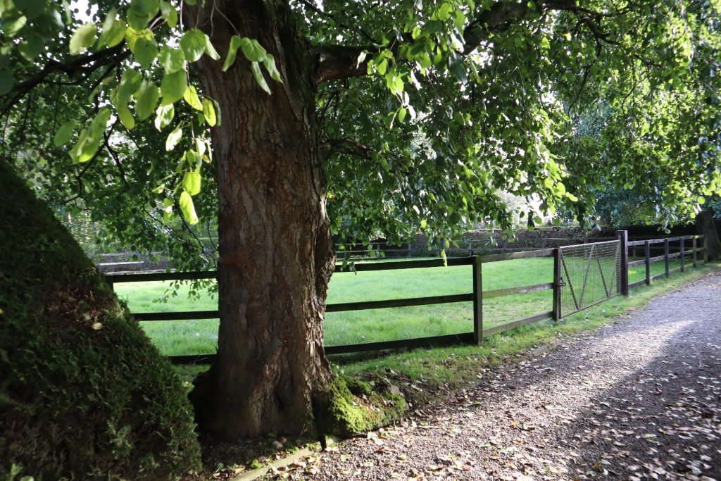O'Donoghue Racing — around the yard at Currabeg Stables, The Curragh (4)