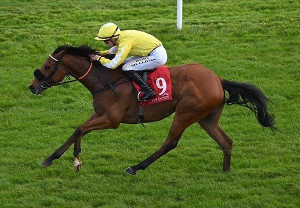 L L Koulsty Digs Deep to Land Naas Rated Race