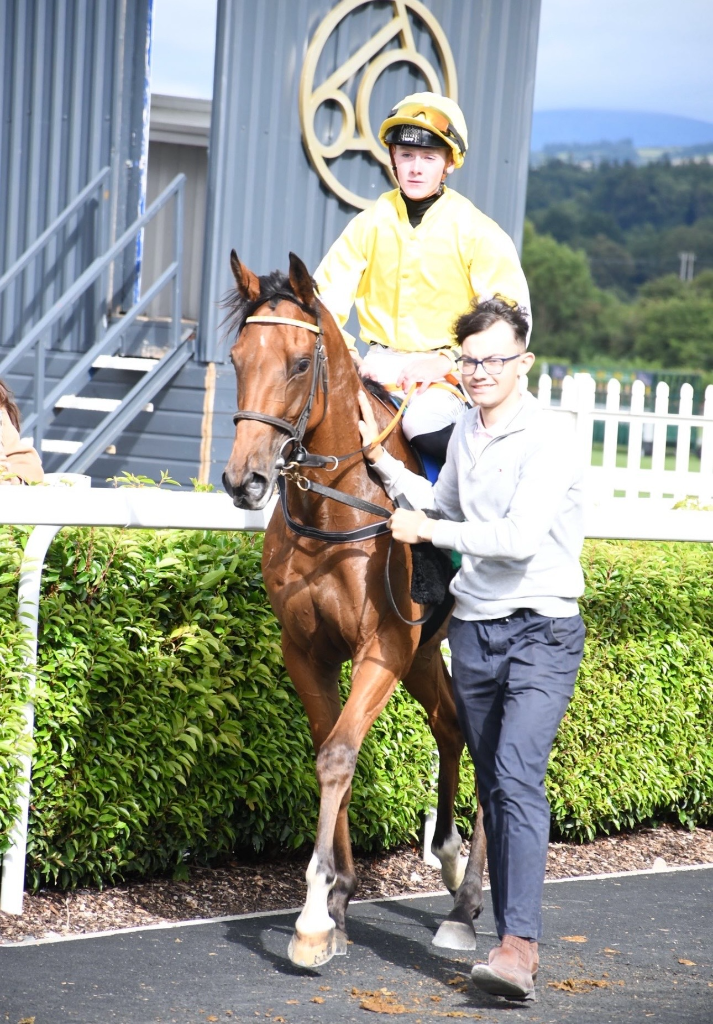 O'Donoghue Racing — raceday at Currabeg Stables, The Curragh (7)