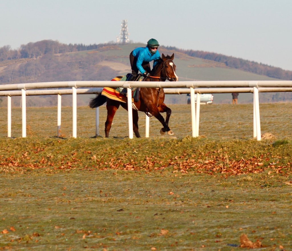 O'Donoghue Racing — from the gallops at Currabeg Stables, The Curragh (2)