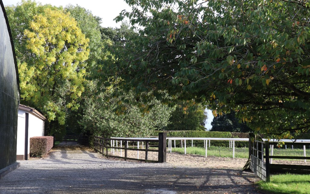 O'Donoghue Racing — around the yard at Currabeg Stables, The Curragh (2)