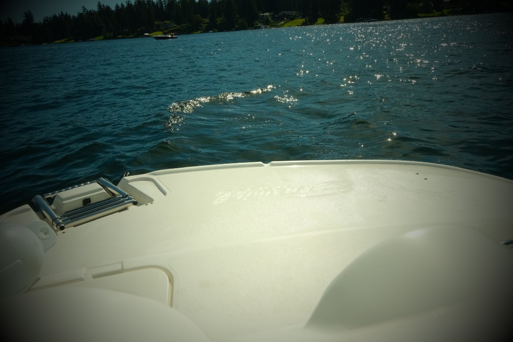 SeaSwirl hull on sparkling water