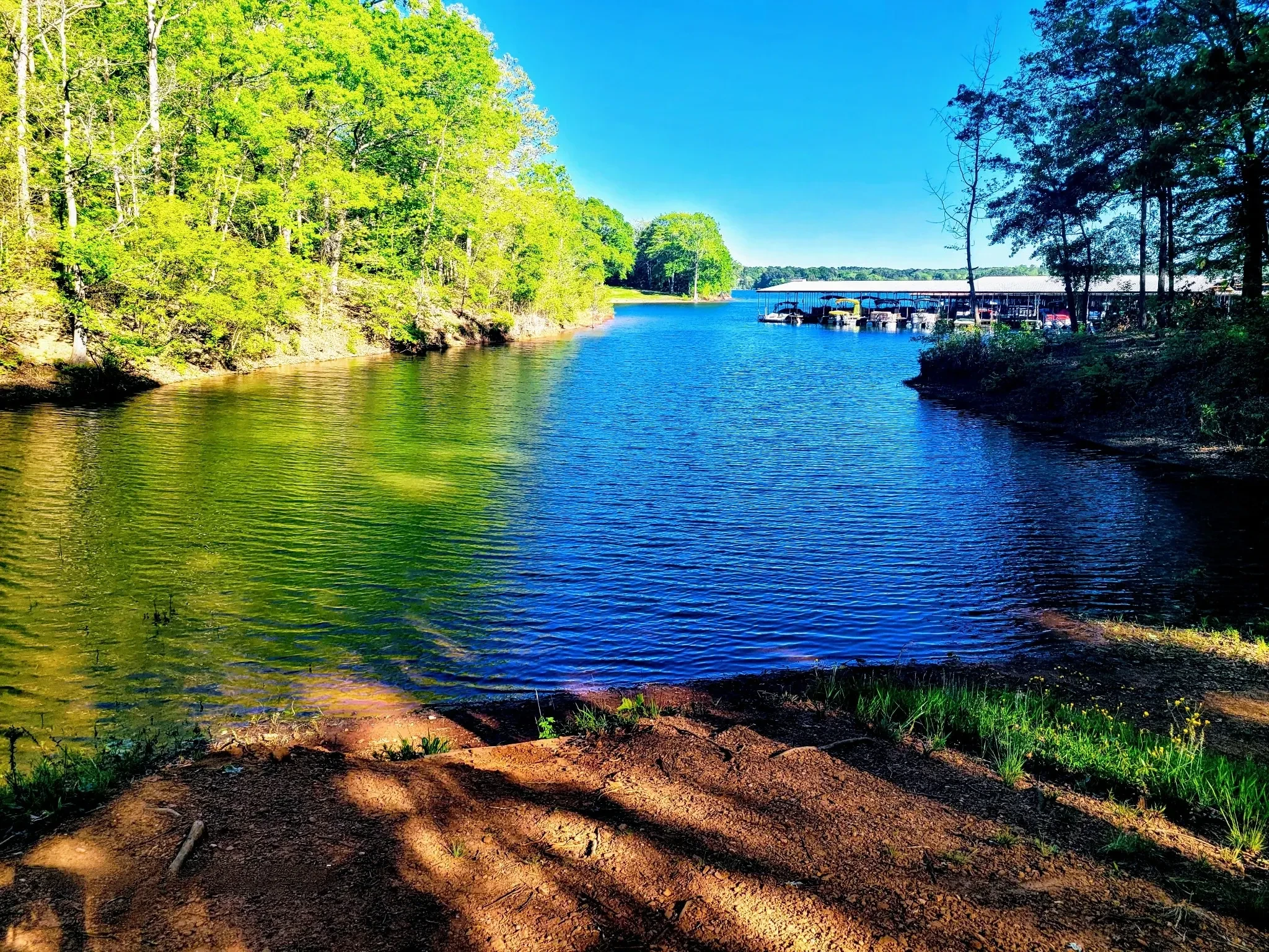 Spring morning on Lake Hartwell