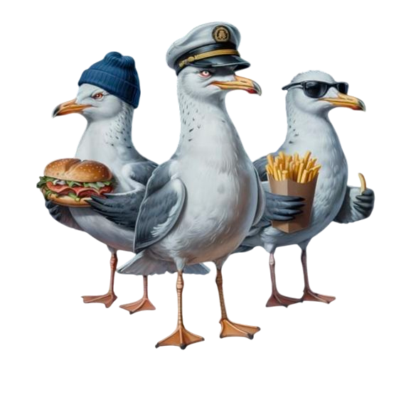 Mouettes stylées