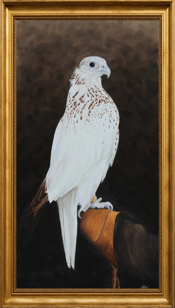A saker falcon gazes directly at the viewer from the falconer's glove, its mottled plumage and piercing eyes rendered with intimate realism.