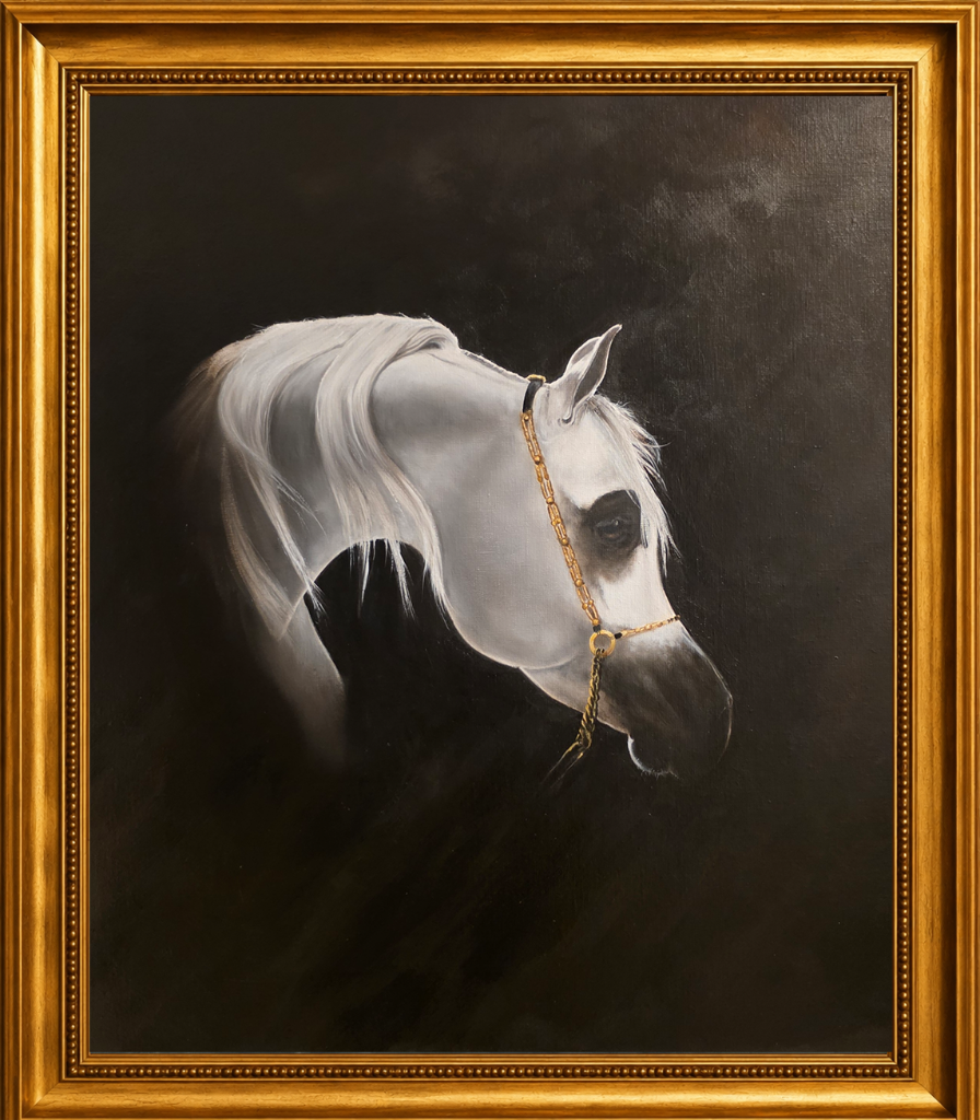 Grey Arabian Horse