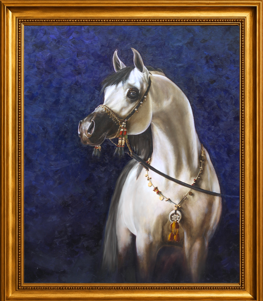 Arabian Horse