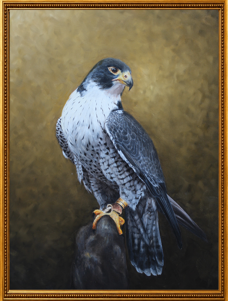 A saker falcon perched on dark rock, its cream and brown plumage rendered with extraordinary precision against a stormy grey sky.