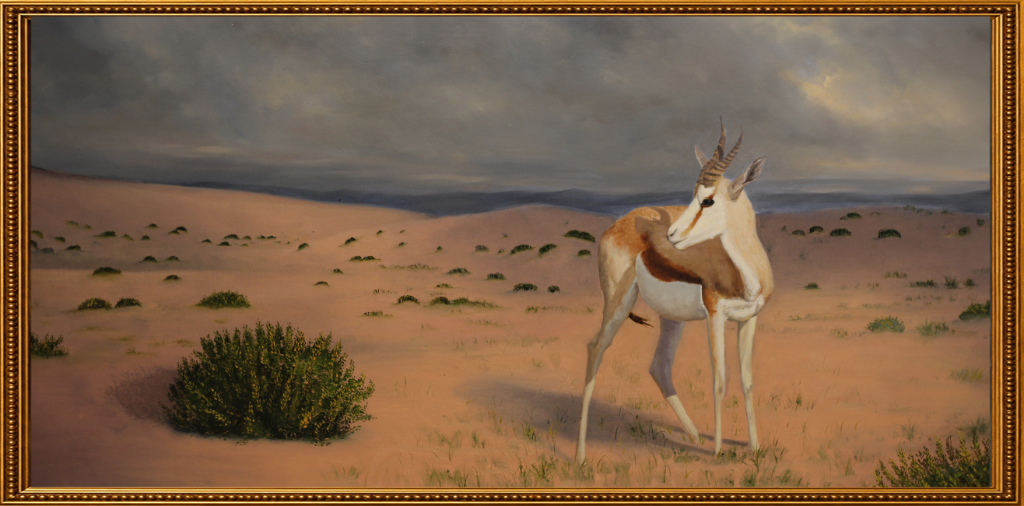 A gazelle stands alert on rose-tinted desert sands beneath a brooding sky — a panoramic celebration of the peninsula's wild inhabitants.