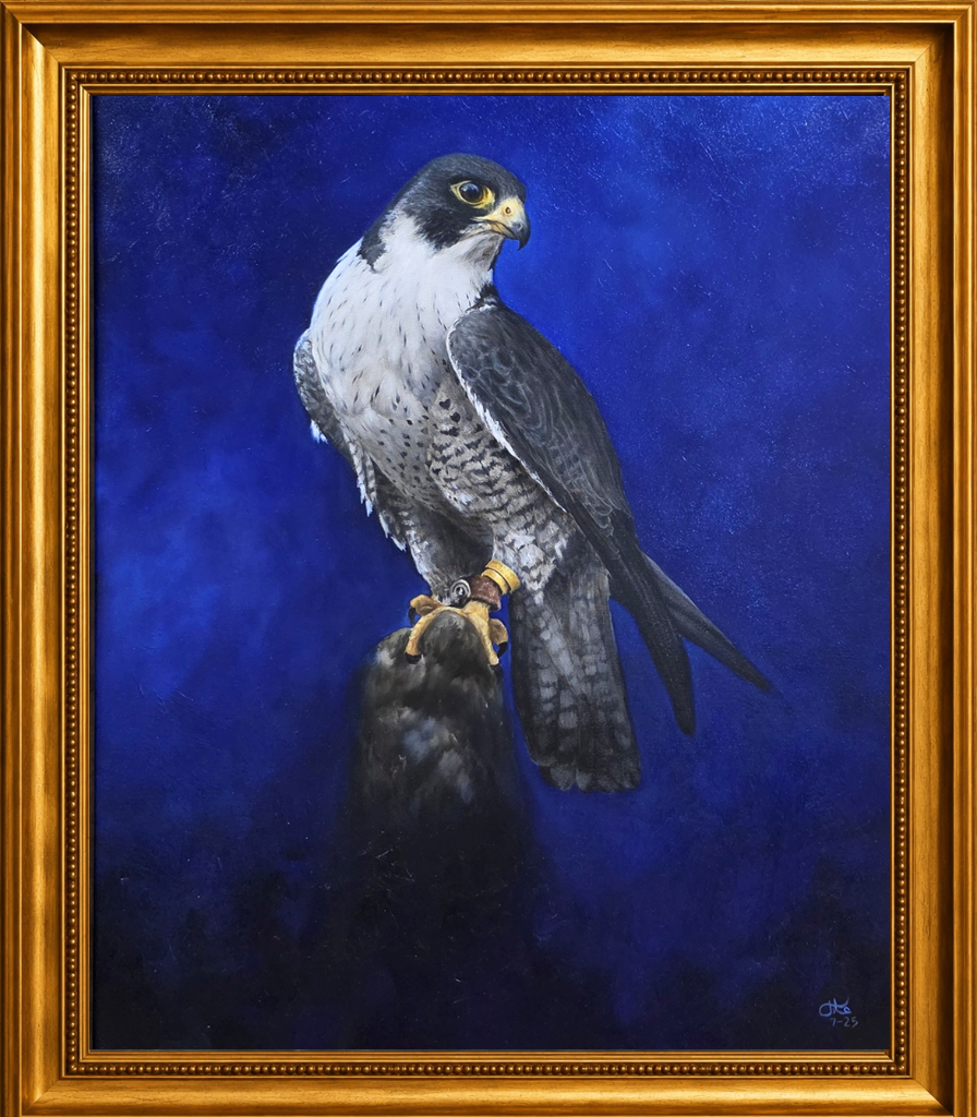A white gyrfalcon with intricate scale-like plumage perches on a hawking glove, its commanding presence set against a rich dark brown ground.