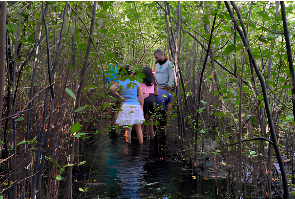 Trilha Ecológica das Camboas — foto 1