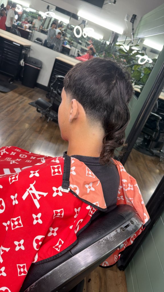 Mullet Fade