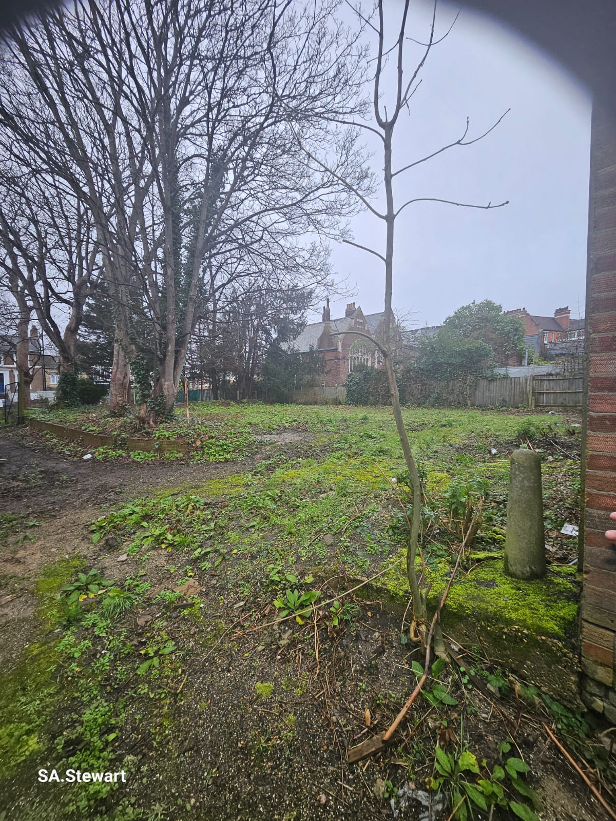 The vacant plot viewed from inside the building, a space waiting to be brought back to life