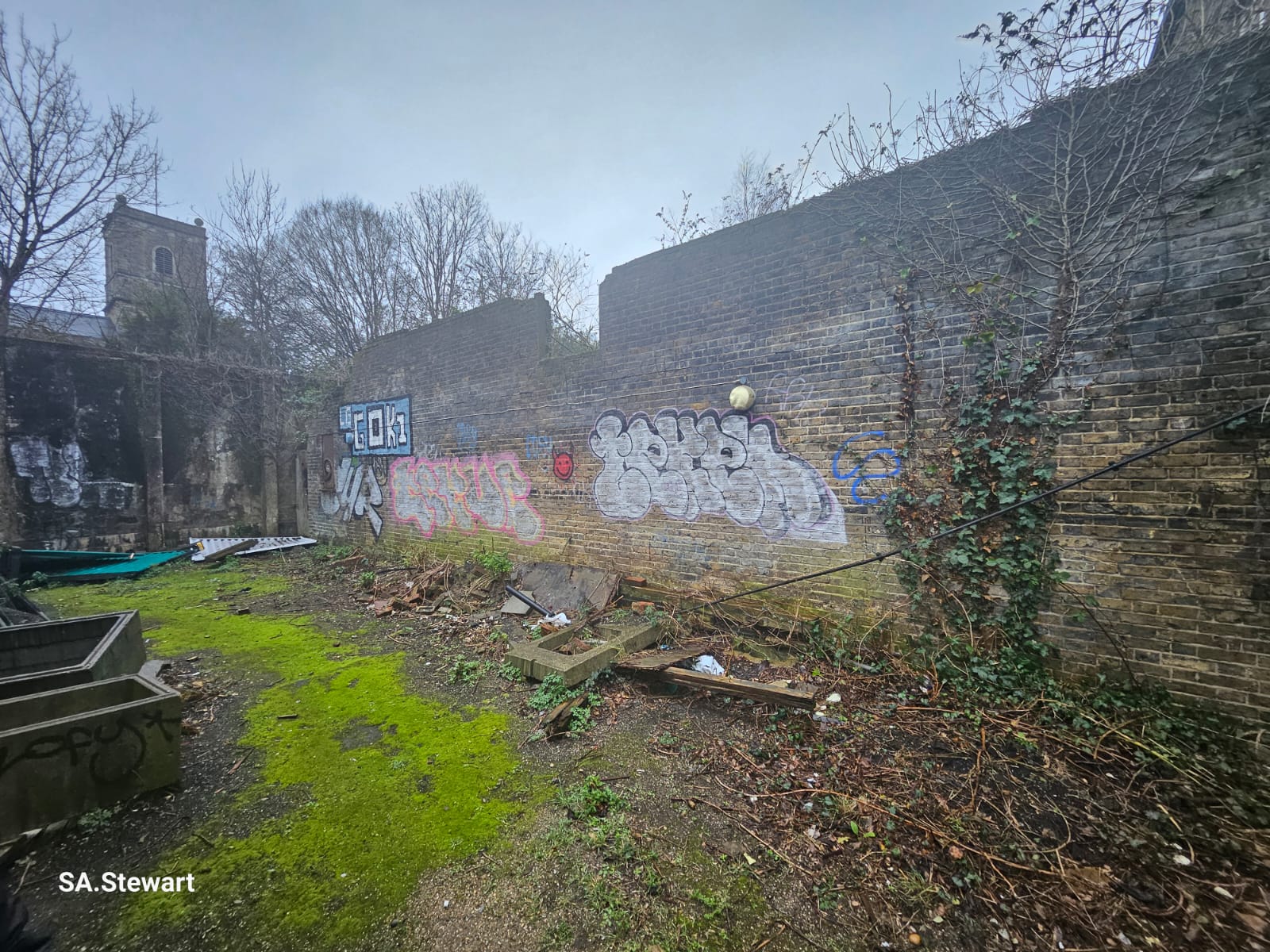 The overgrown garden area, with moss and vegetation reclaiming the derelict site