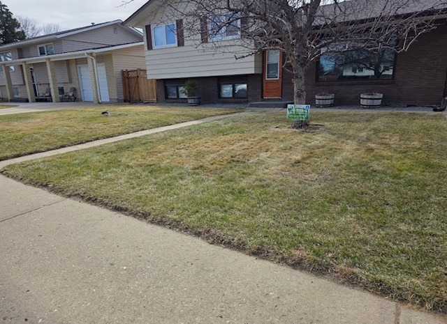 Residential lawn maintenance in Medicine Hat area