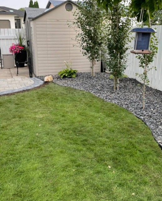 Fresh backyard landscape with green lawn, stone edging and decorative rock