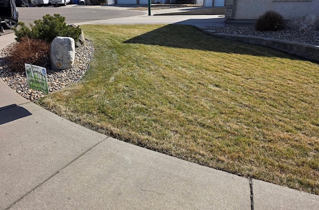 Front yard lawn edging with rock bed along sidewalk