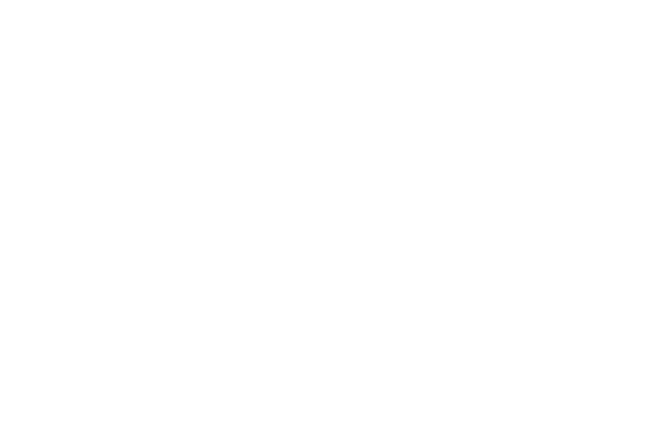 Logo ACEIPOL