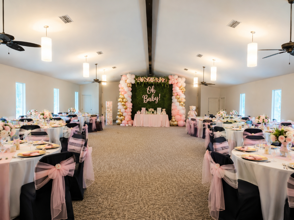Baby Showers / Gender Reveal 3