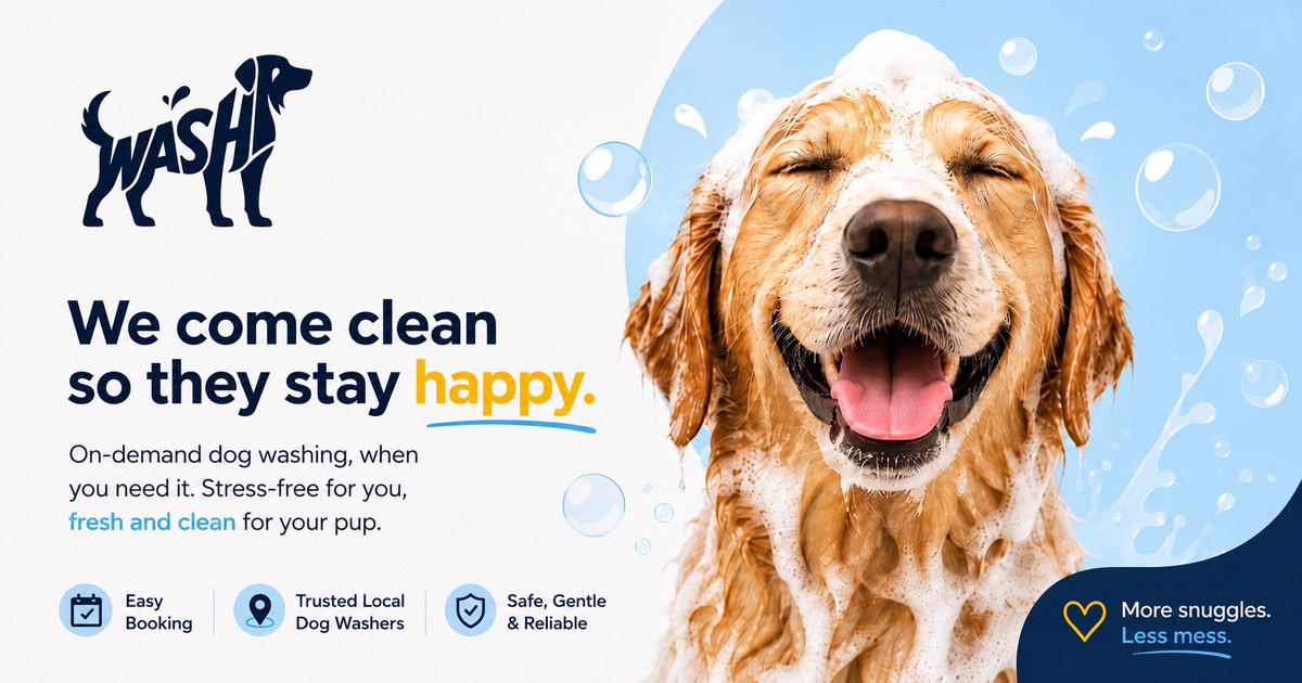 DOGWASHR social preview