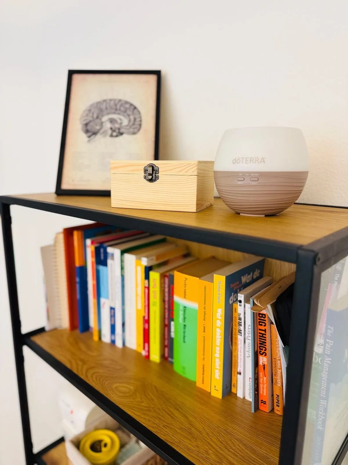 Regal mit Fachbüchern und anatomischem Gehirn-Bild in der Praxis