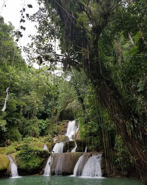 YS Falls Adventure in Jamaica