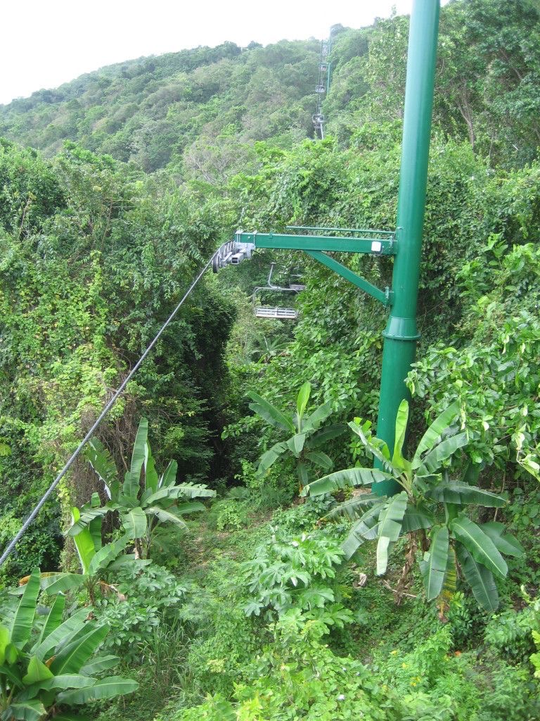 Zipline Nature Tour Jamaica excursion 2