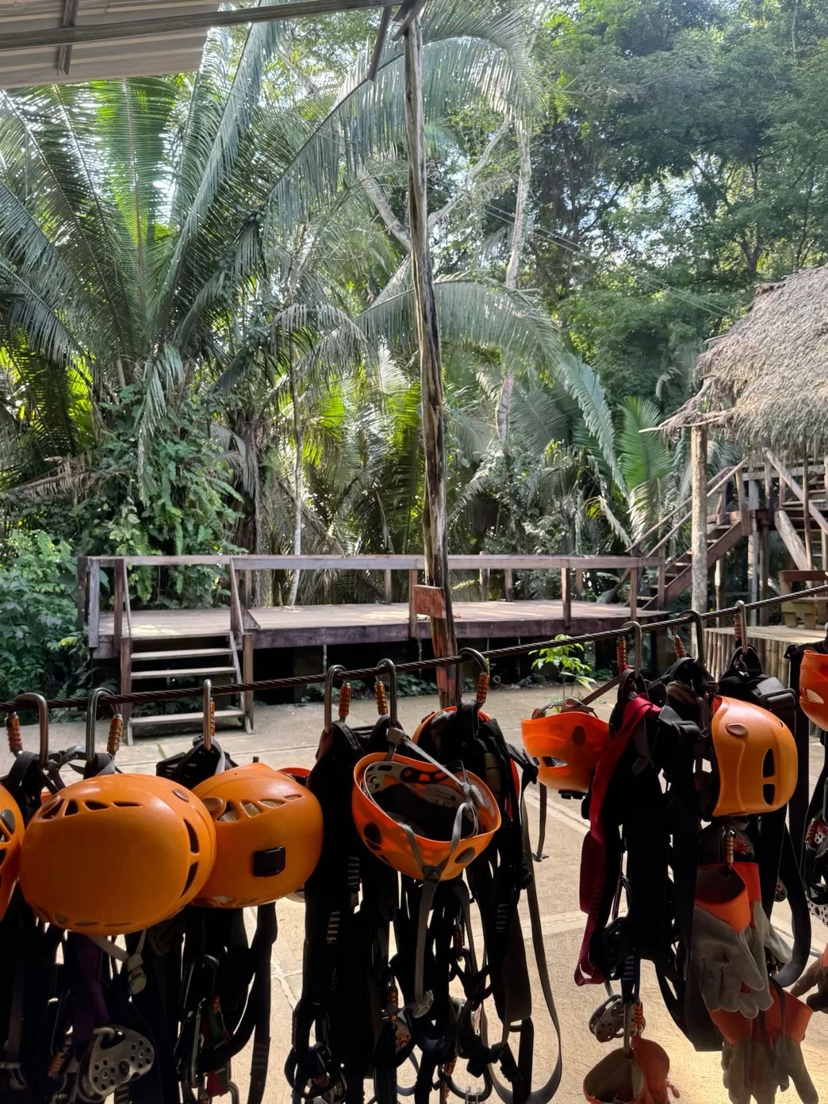 Zipline Nature Tour Jamaica excursion 3