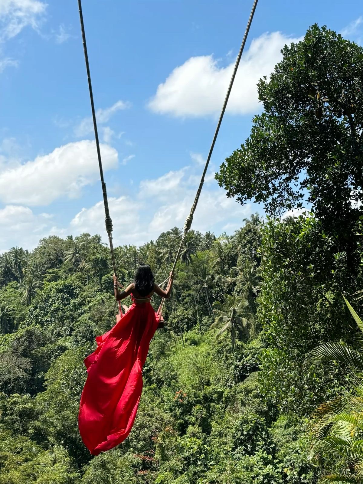 Bali Swing Jamaica excursion 2