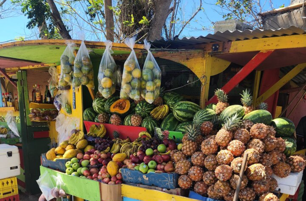 Jamaican Street Food Experience in Jamaica