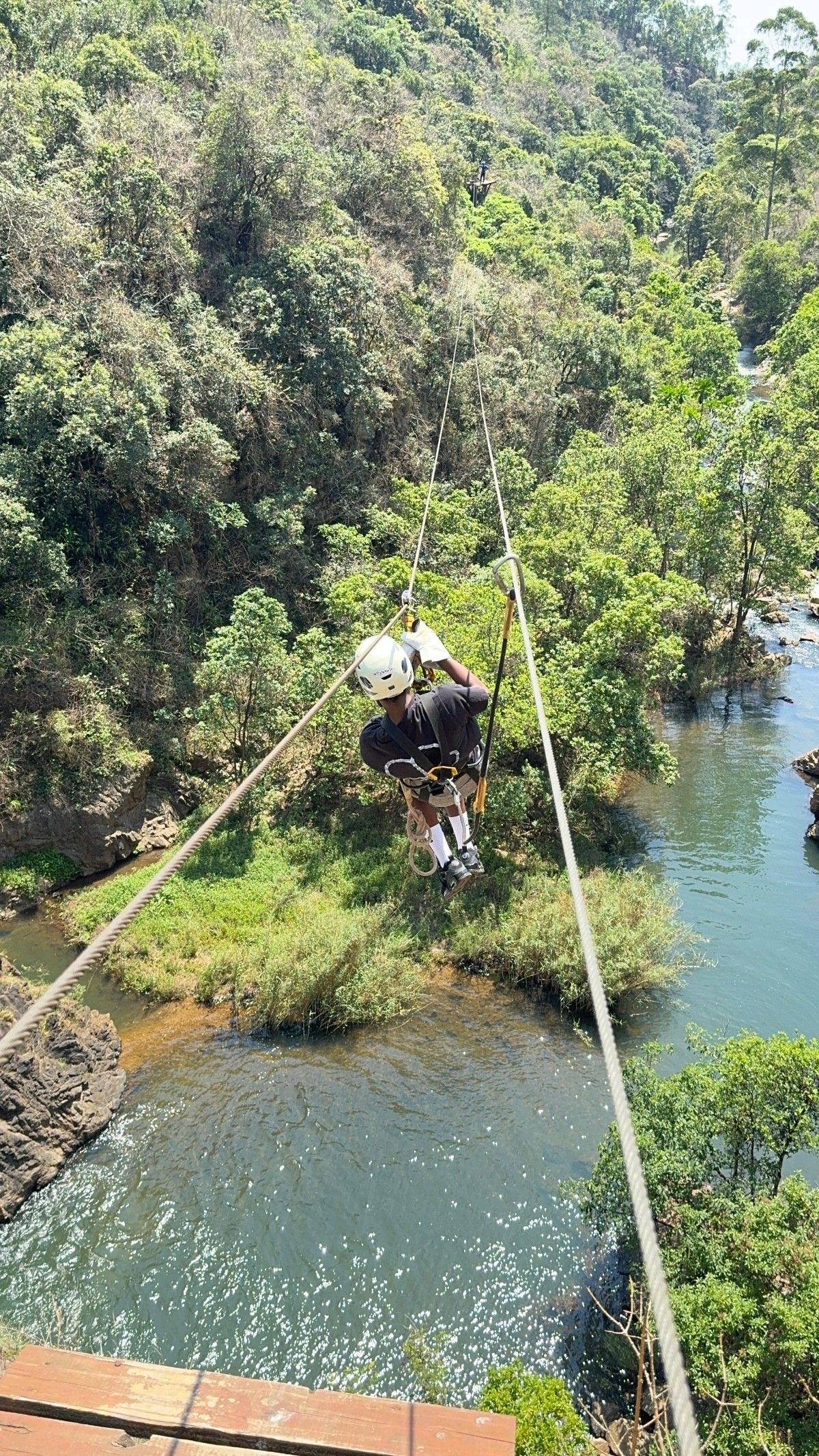 Zipline Nature Tour in Jamaica