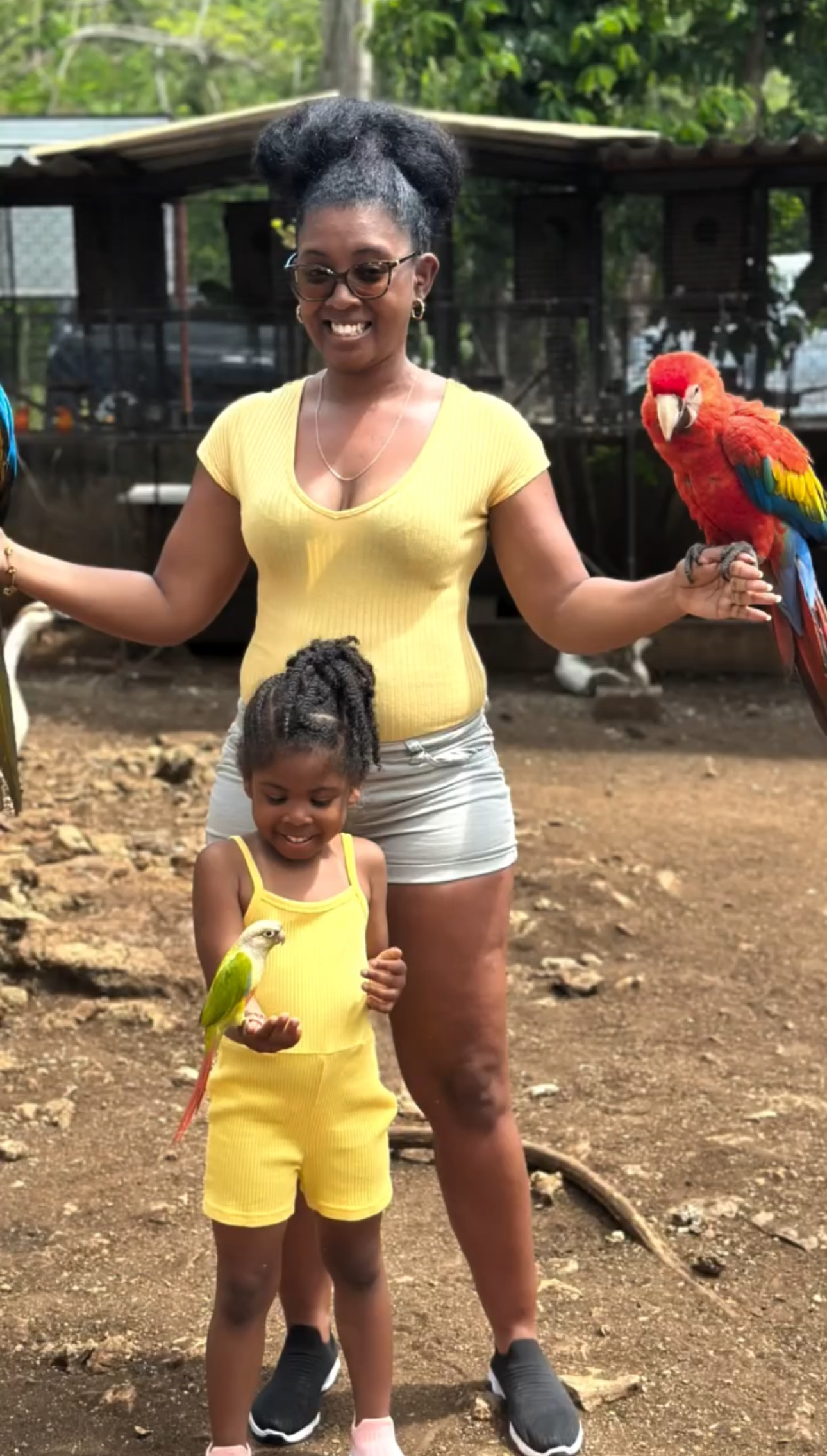 Jamaican Farm Escape & Weed Farm Tour in Jamaica