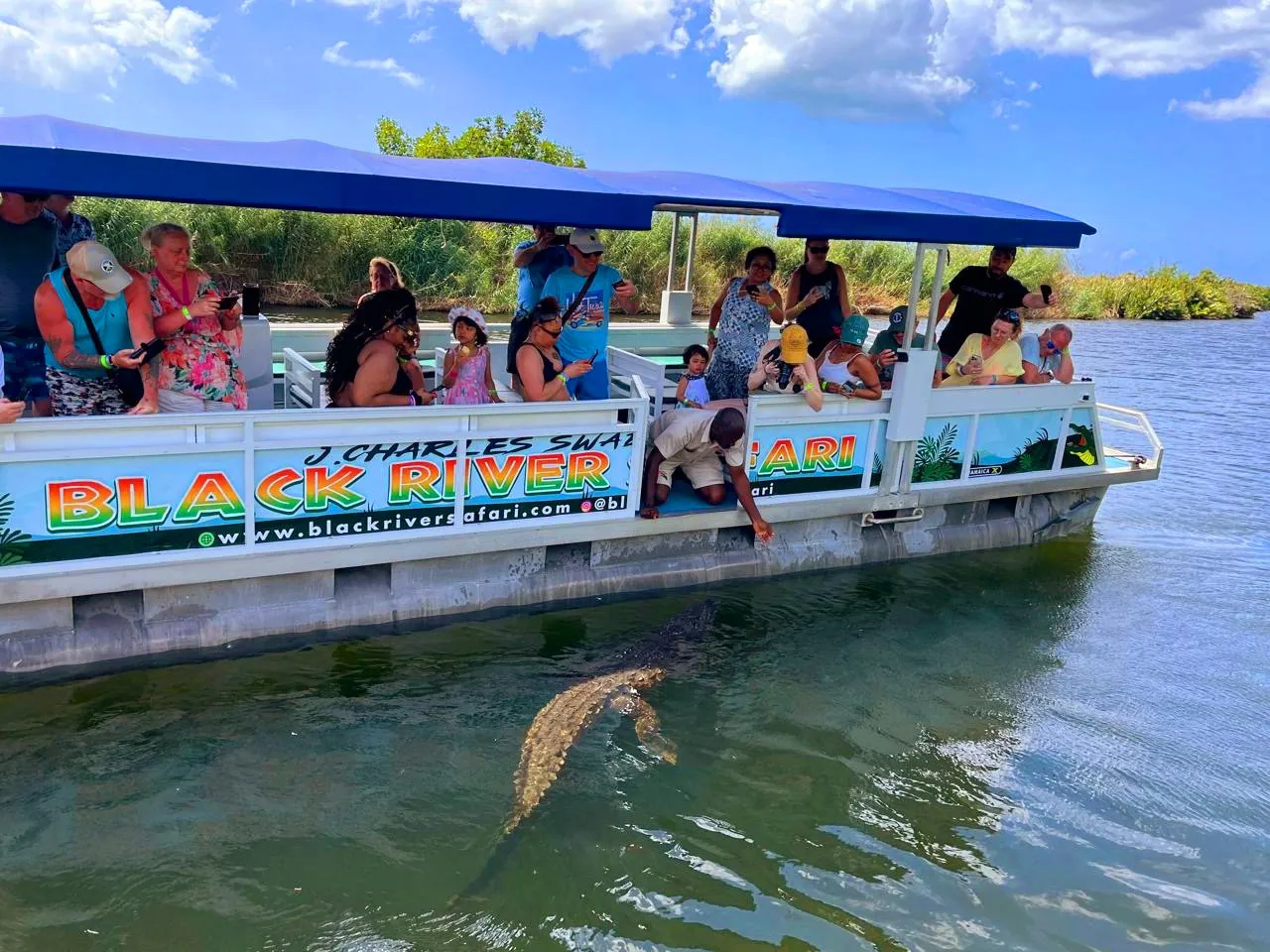 Black River Safari Adventure in Jamaica