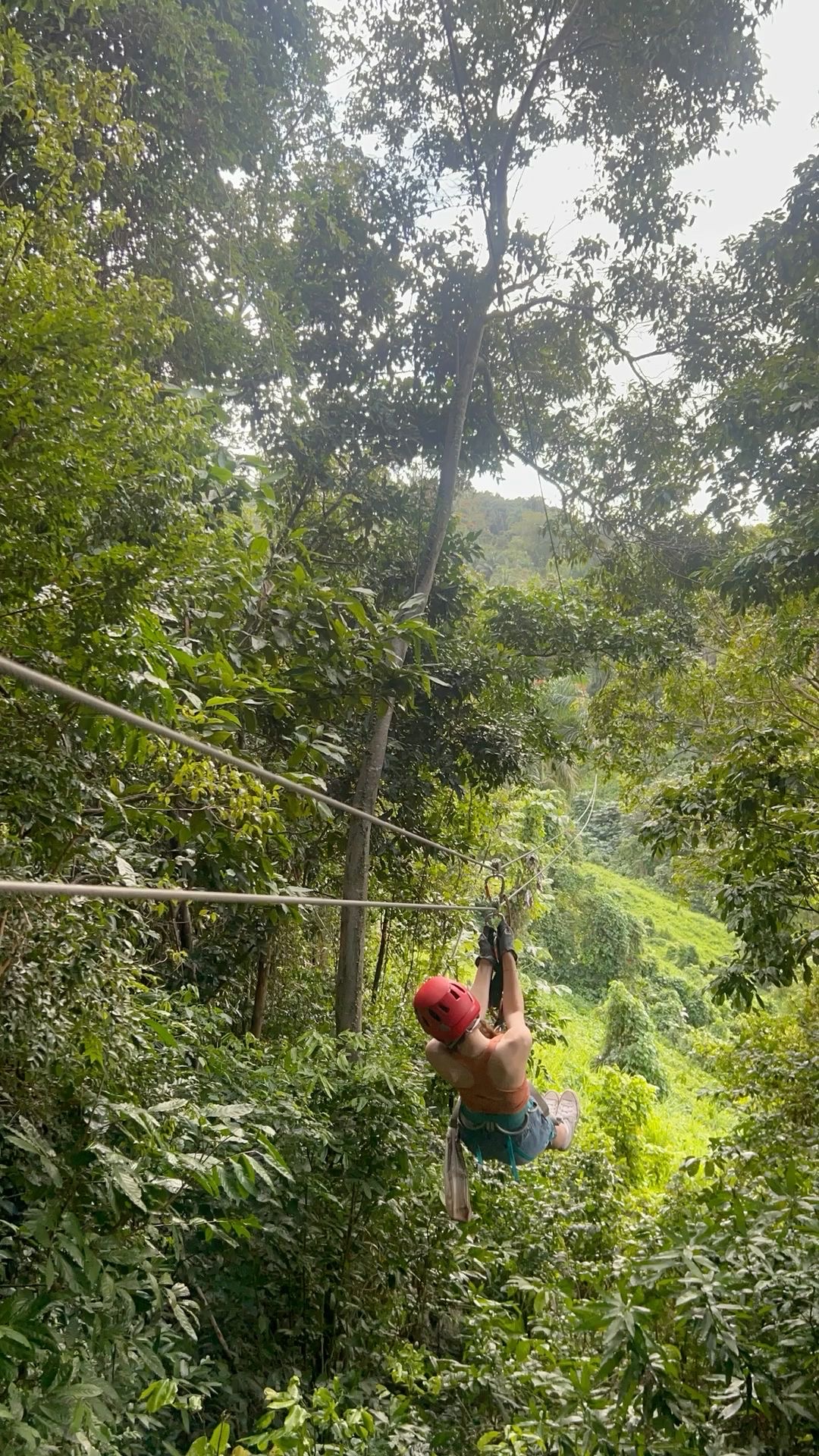 Zipline Adventure Jamaica excursion 1
