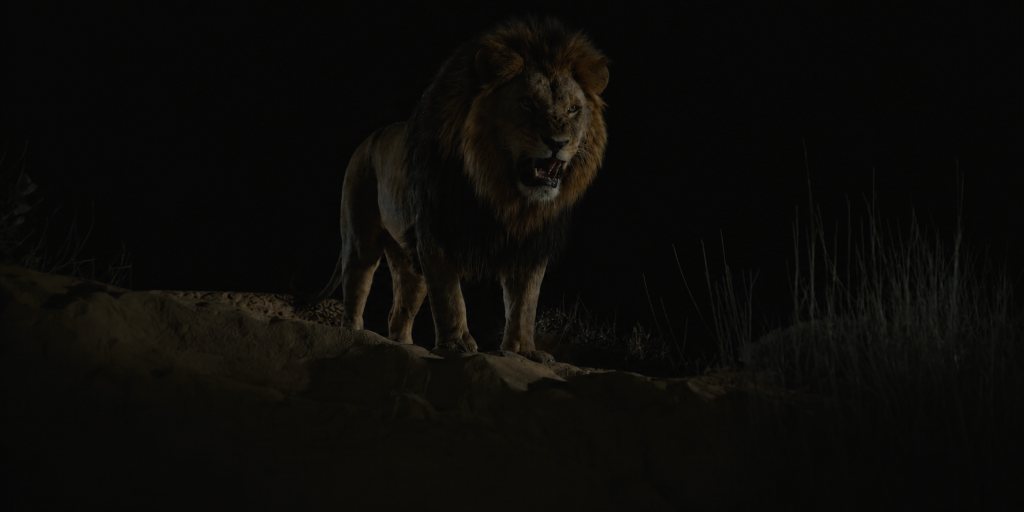 The Lion's Growl