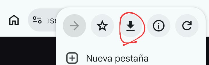 Paso 2: pulsa el icono de descarga