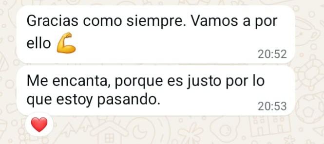 Reseña 23
