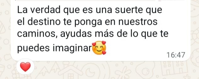 Reseña 17