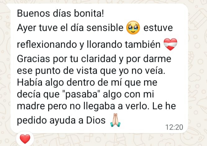 Reseña 28