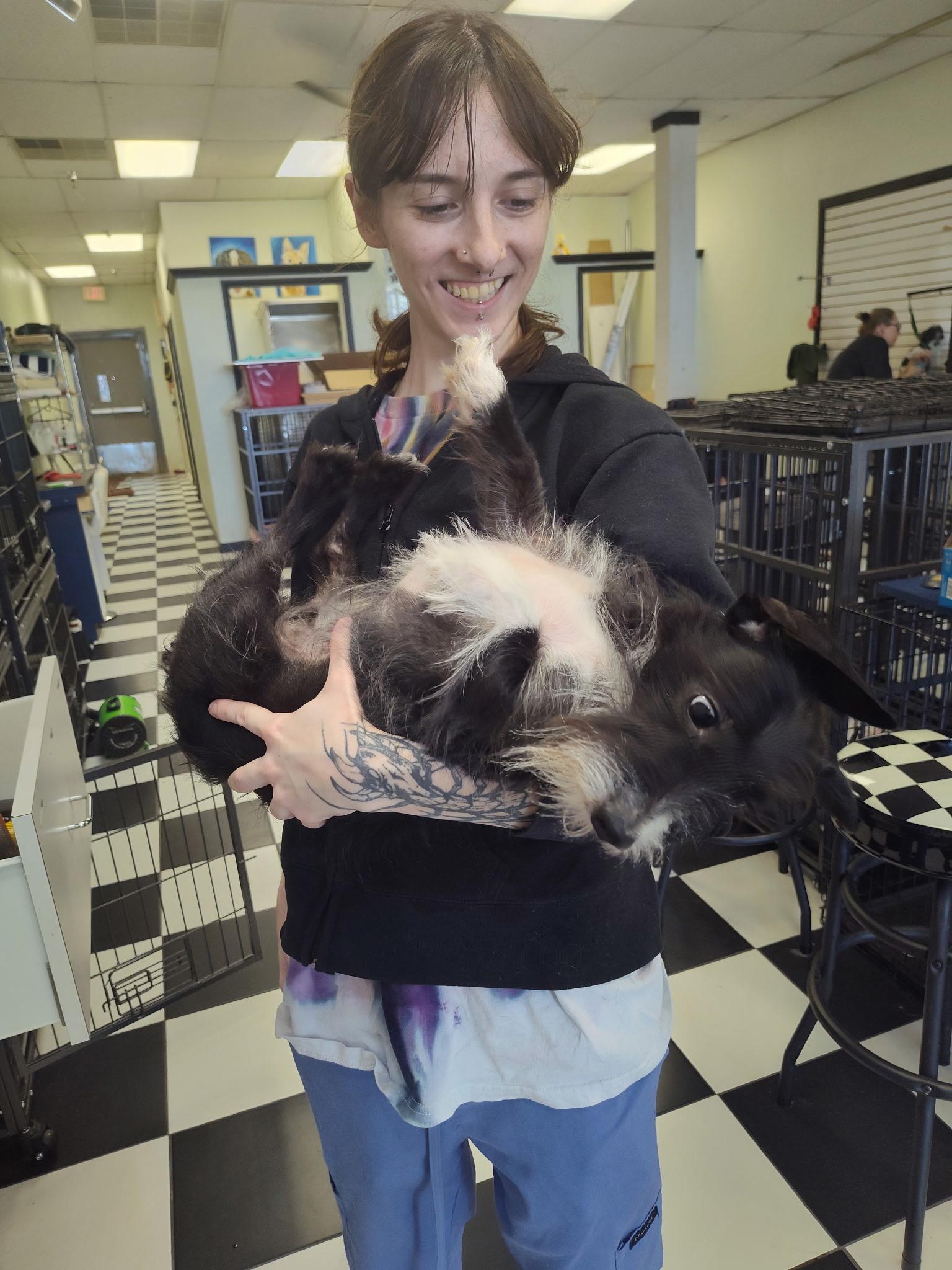 Kam, Apprentice Groomer at Lucky Pup Grooming
